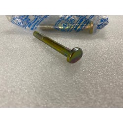 Bullone carter PIAGGIO