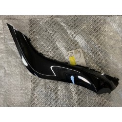 Fiancata dx Piaggio X10