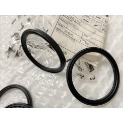 Guarnizione indicatore di...